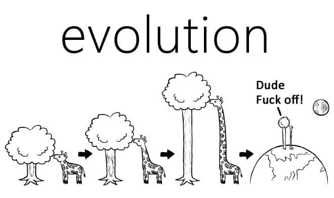 blockchain evolution