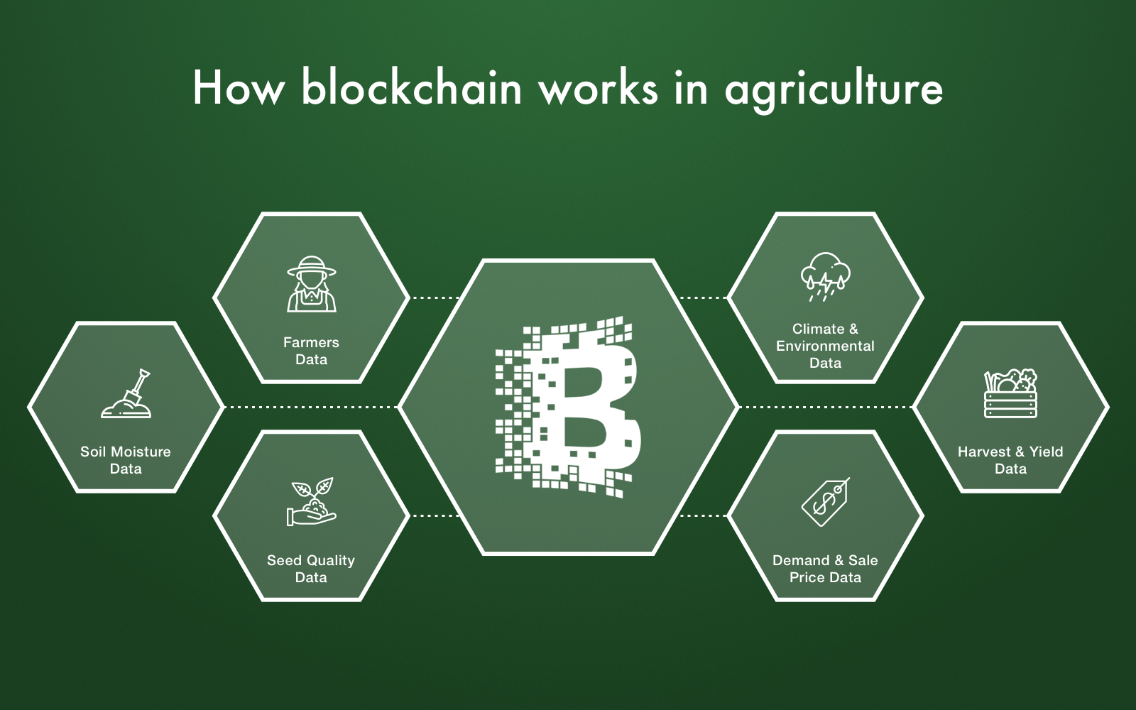 agriculture supply chain blockchain