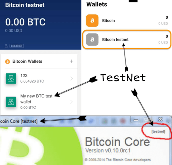 testnet coinbase