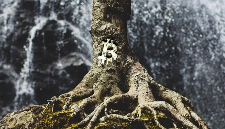 bitcoin-taproot-social