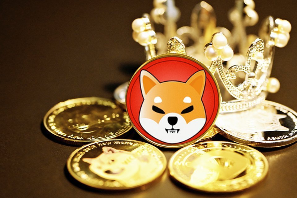 Bitexen exchange adds support for Shiba Inu