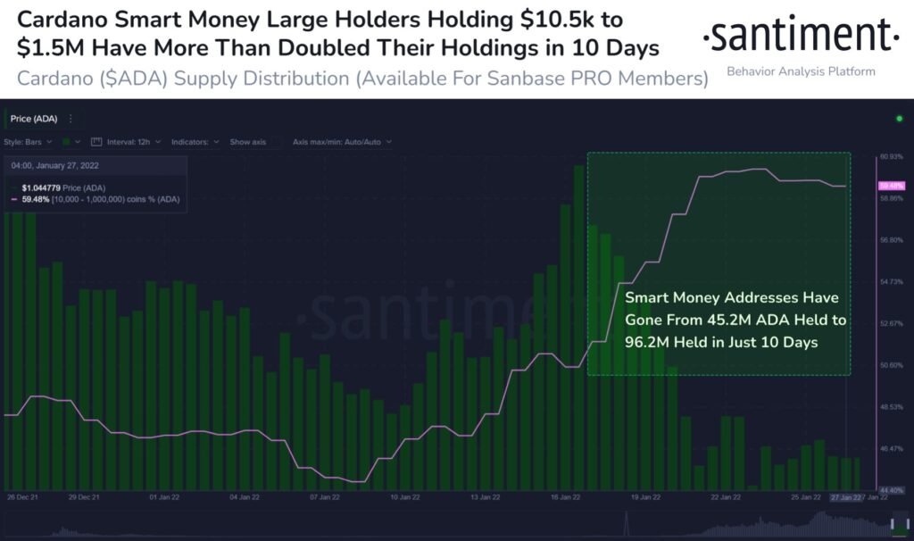 Cardano (ADA) Sees A Double Surge In Big Holders - Bitcoinik