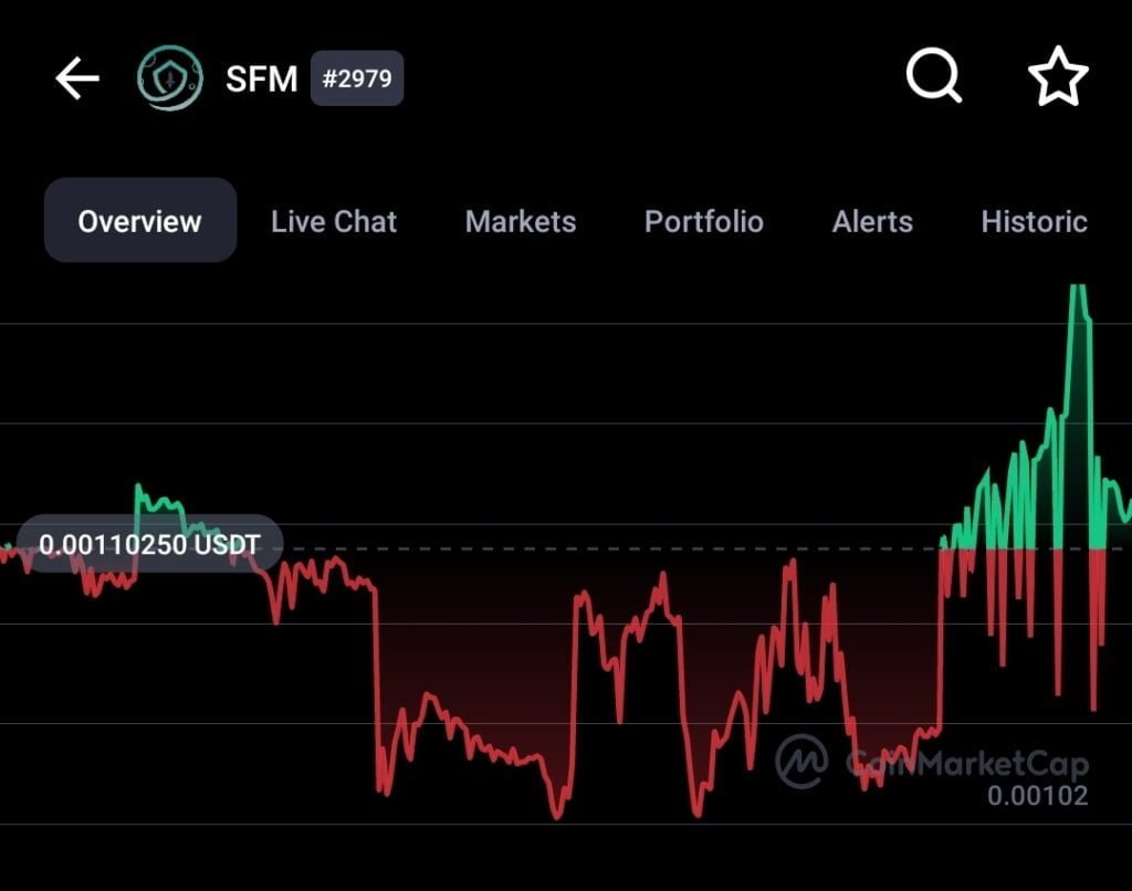 SafeMoon’s vice president left the project 2