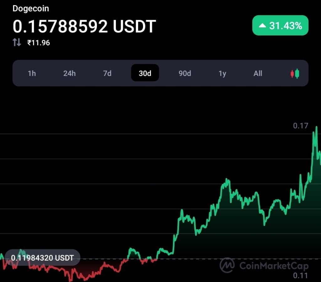 Doge Whales transactions hikes by 110% amid recent rally 5