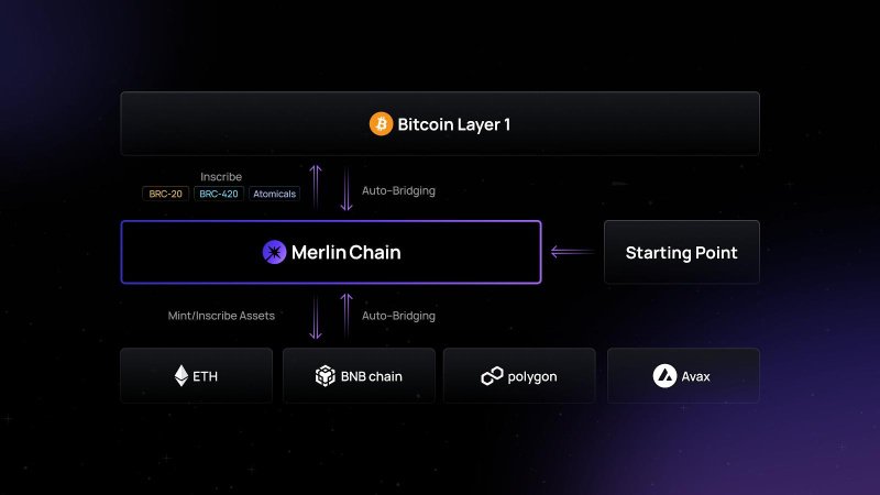 Unlocking Bitcoin's Potential: Introducing Merlin Chain, a Native L2 Solution 35