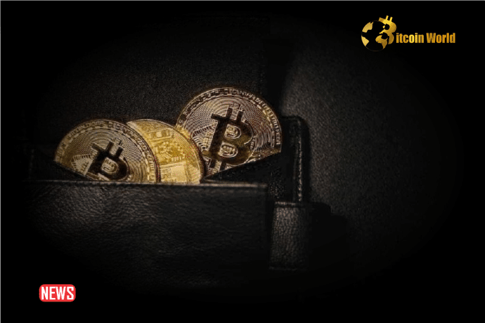 Two Dormant Bitcoin (BTC) Wallets Emerge With Massive Profits