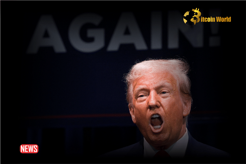 How Will The Crypto Industry Be Affected If Donald Trump Wins the US Election?