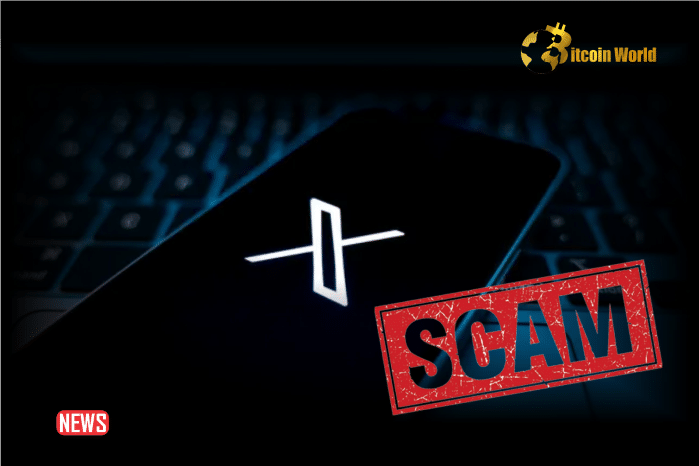 X Has Been A Crypto Scam-Filled Failure For Elon Musk — Now What?