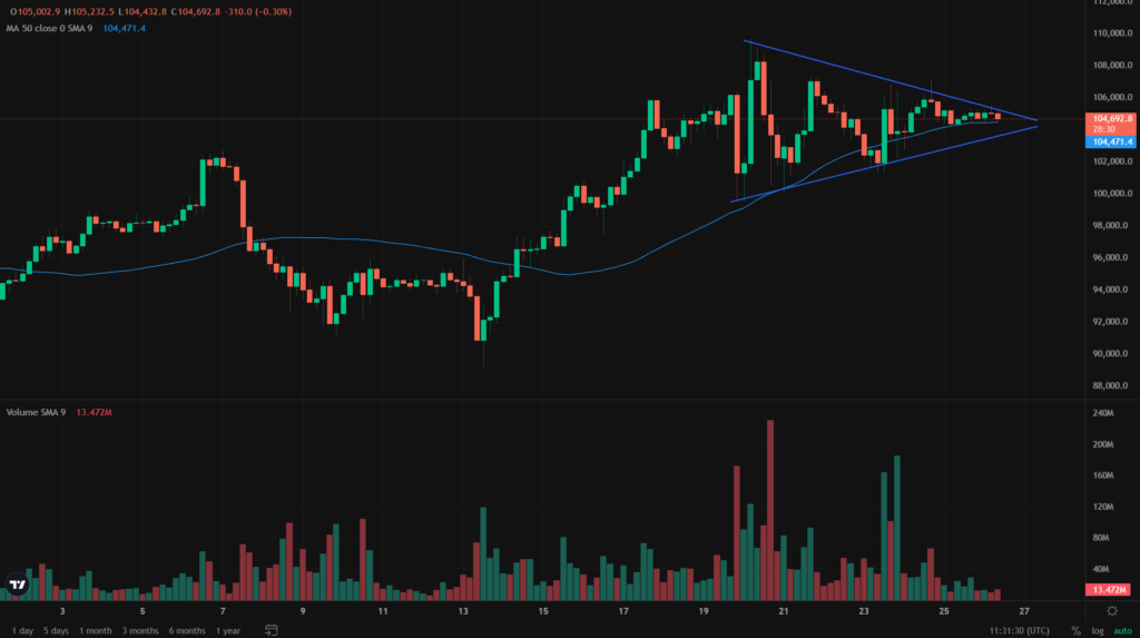 Bitcoin Price Predication - Technical Analysis BTC 8